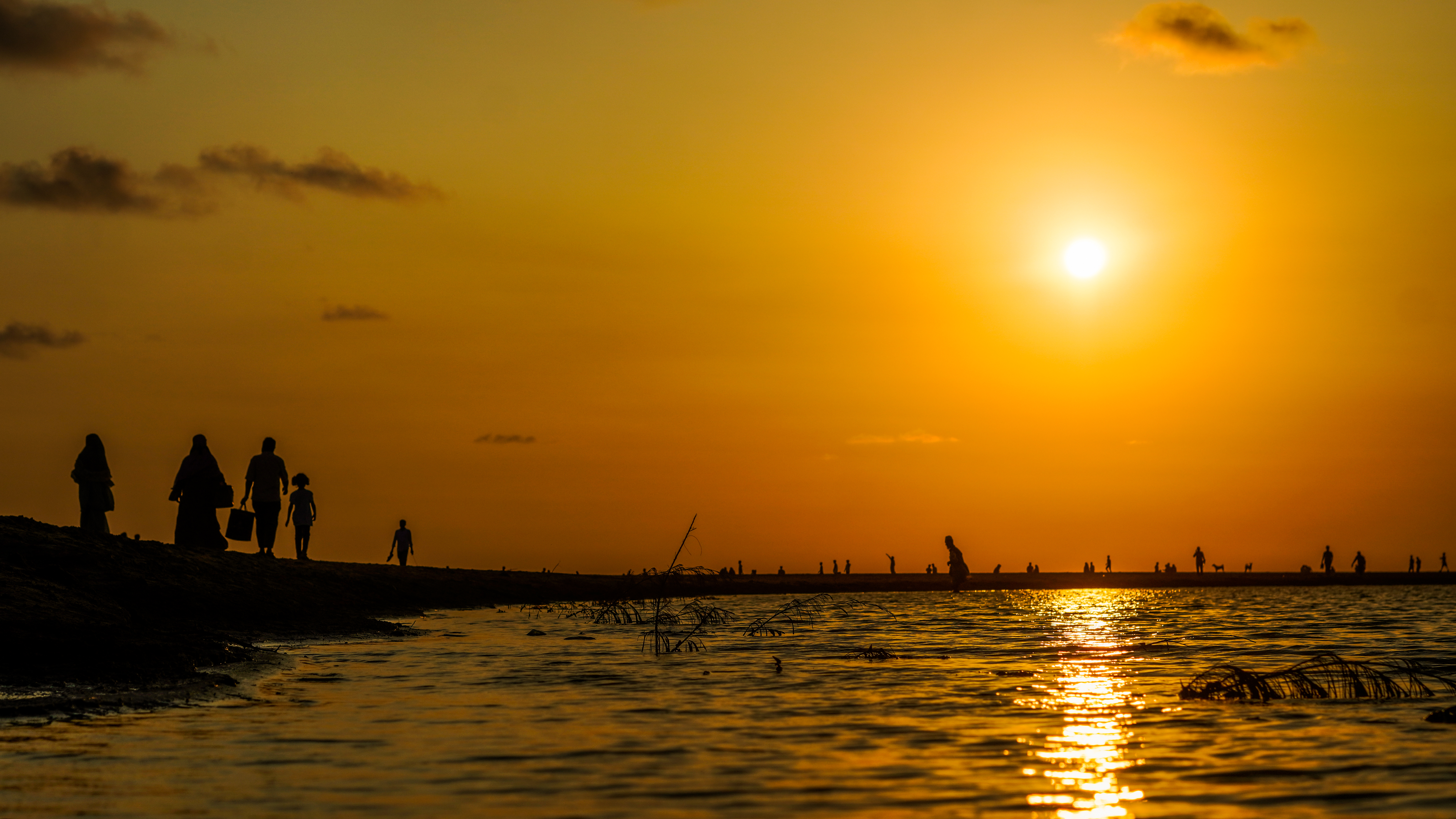 People silhouetted beside water at golden hour